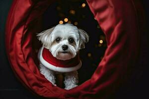 ai genererad söt hund i en santa kostym framträder från en portal, redo till spridning jul heja på. foto