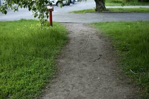 sommar trottoar och parkera i de stad. skön trottoar och smal väg. foto