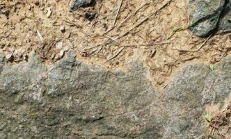 sand och stenar på en grus jord textur i hög upplösning. foto