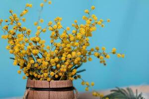 mimosa blommor på en trä- yta. foto