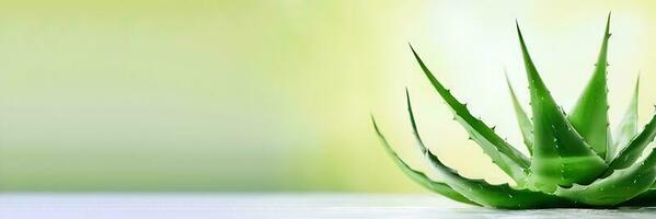 grön oas - aloe löv och juice för kosmetika marknadsföring - generativ ai foto