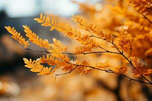 soldränkt höst scen med vibrerande gul löv på grenar ai genererad foto