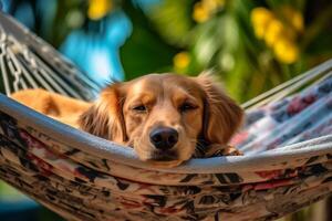 maklig hund på en hängmatta förkroppsligar de väsen av sommar högtider ai genererad foto