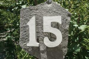 hus siffra 15 installerad på en stor sten i de trädgård av bostad foto