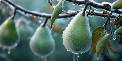 is storm träd och päron frukt frysa i vinter, ai genererad foto