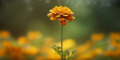 ringblomma blomma, kopia Plats suddig bakgrund, ai genererad foto