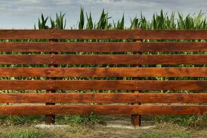 staket i sädesfält i buenos sänds provins, argentina foto