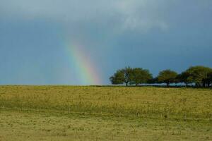 pampas landsbygden med regnbåge, la pampa provins, argentina. foto