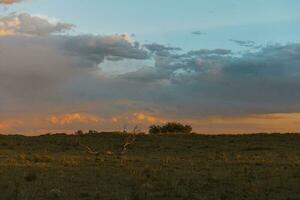 argentine landsbygden landskap, la pampa provins, patagonien, argentina. foto