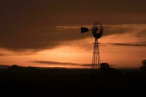 pampas solnedgång landskap, la pampa, argentina foto