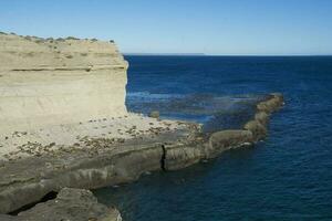 klippor landskap i halvö valdes, unesco värld arv webbplats, chubut provins, patagonien, argentina. foto