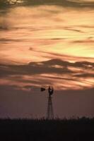 lantlig landskap med väderkvarn på solnedgång, pampas , argentina foto
