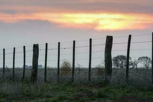 tråd staket på solnedgång i de argentine landsbygden. foto