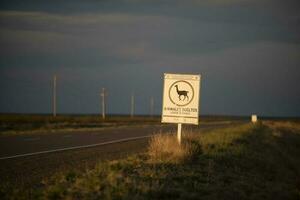 djur- korsning varning tecken, rutt i de pampas enkel, patagonien, argentina foto
