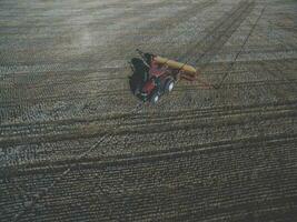 traktor och såmaskin, direkt sådd i de pampa, argentina foto