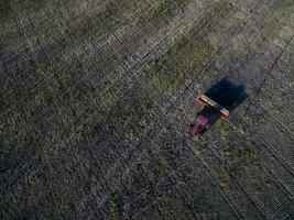 traktor y MAQUINARIA agricola , sembrando, la pampa, argentina foto