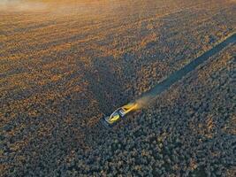 durra skörda, i la pampa, argentina foto