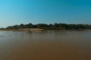 flod landskap och djungel, pantanal, Brasilien foto