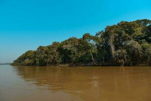 flod landskap och djungel, pantanal, Brasilien foto