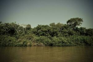 flod landskap och djungel, pantanal, Brasilien foto