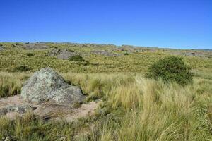 quebrada del condorito nationell parkera landskap, cordoba provins, argentina foto