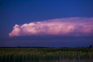 elektrisk storm i lantlig pampas landskap, la pampa provins, patagonien, argentina. foto