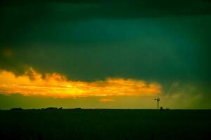 storm regn i lantlig landskap, la pampa provins, patagonien, argentina. foto