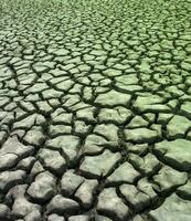 bruten jord i pampas miljö , patagonien, argentina. foto