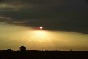 pampas solnedgång landskap, la pampa, argentina foto