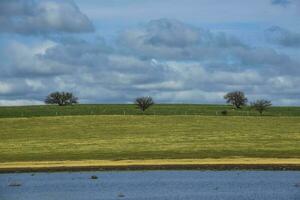 pampas landskap med molnig himmel, la pampa, argentina. foto