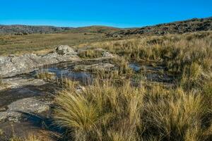 quebrada del condorito nationell park, Cordoba provins, argentina foto