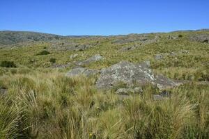 quebrada del condorito nationell parkera landskap, cordoba provins, argentina foto