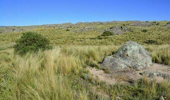 quebrada del condorito nationell parkera landskap, cordoba provins, argentina foto