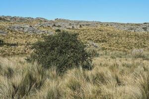 quebrada del condorito nationell parkera landskap, cordoba provins, argentina foto