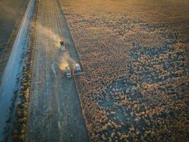 skörda i de argentine landsbygden, pampas, argentina foto
