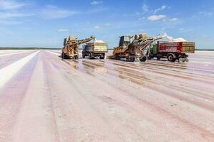 skörda av mineral salt i la pampa, argentina foto