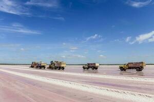 skörda av mineral salt i la pampa, argentina foto