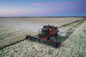 tröskor i pampas landsbygden, antenn se, la pampa provins, argentina. foto