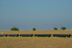 gas rörledning konstruktion, la pampa provins , patagonien, argentina. foto