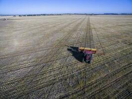 traktor och såmaskin, direkt sådd i de pampa, argentina foto