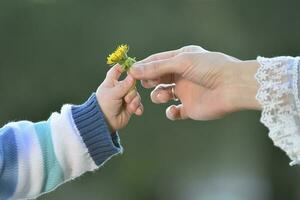 hand leverera en blomma foto