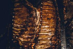 fläsk revben utegrill , patagonien, argentina foto