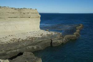 klippor landskap i halvö valdes, unesco värld arv webbplats, chubut provins, patagonien, argentina. foto