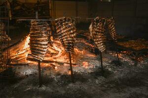 utegrill ko revben, traditionell argentine steka foto