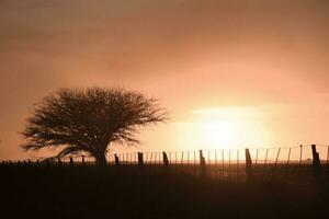 lantlig solnedgång landskap, buenos sänds provins , argentina foto