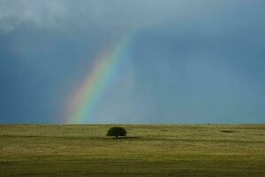 hotfull storm moln, pampas, patagonien, argentina foto