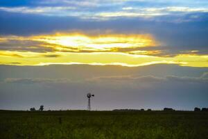 väderkvarn i de fält, på solnedgång, pampas, argentina foto