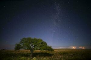 pampas landskap fotograferad på natt med en starry himmel, la pampa provins, patagonien , argentina. foto