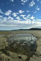 kust landskap med klippor i halvö valdes, värld arv webbplats, patagonien argentina foto