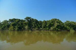 pantanal skog ekosystem, mato grosso, Brasilien foto